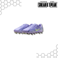 Nike JR Legend 10 Academy FG
